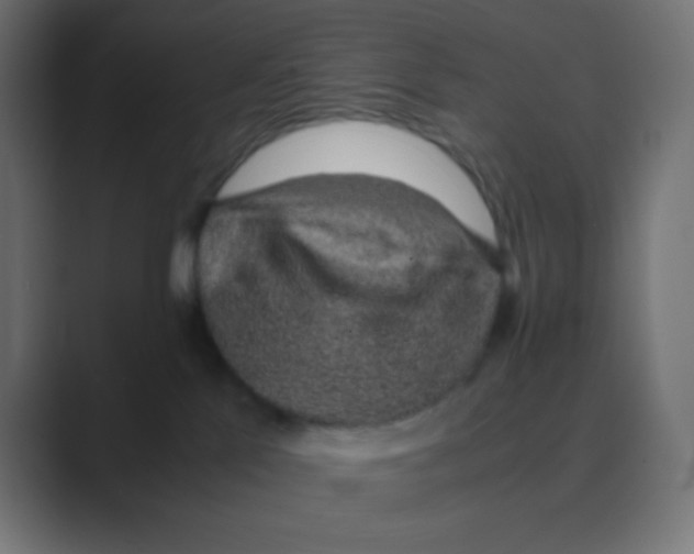 X0000088440041200706191301