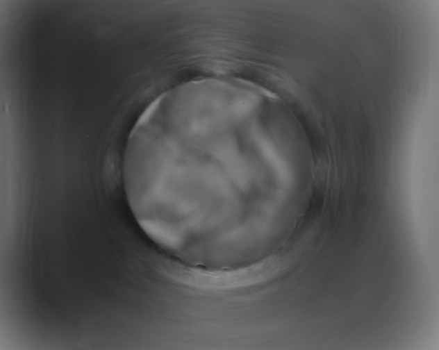 X0000088440043200706191301