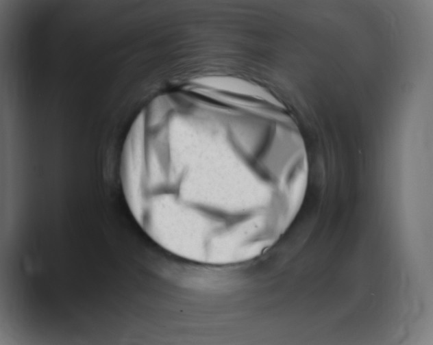 X0000088440044200706191301