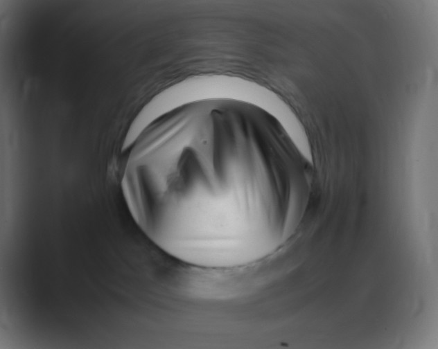 X0000088440045200706191301