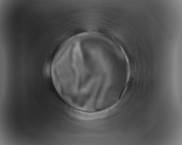 X0000088440047200706191301