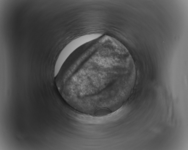 X0000088440048200706191301