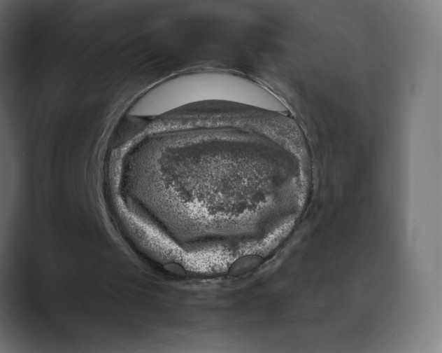 X0000088440049200706191300