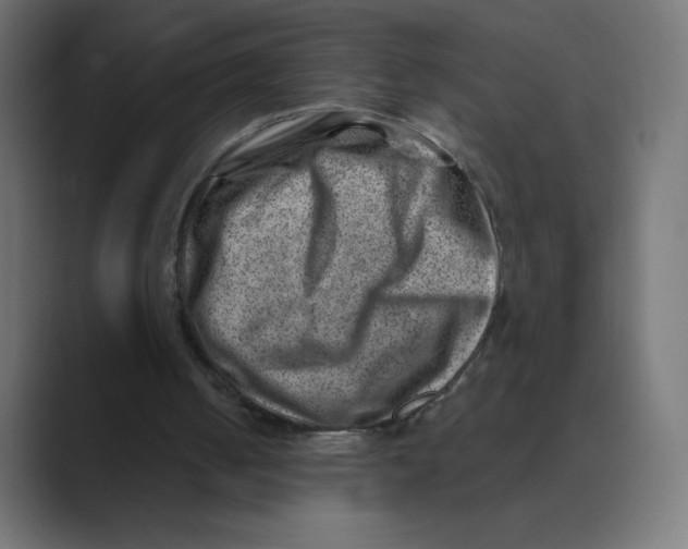 X0000088440050200706191300