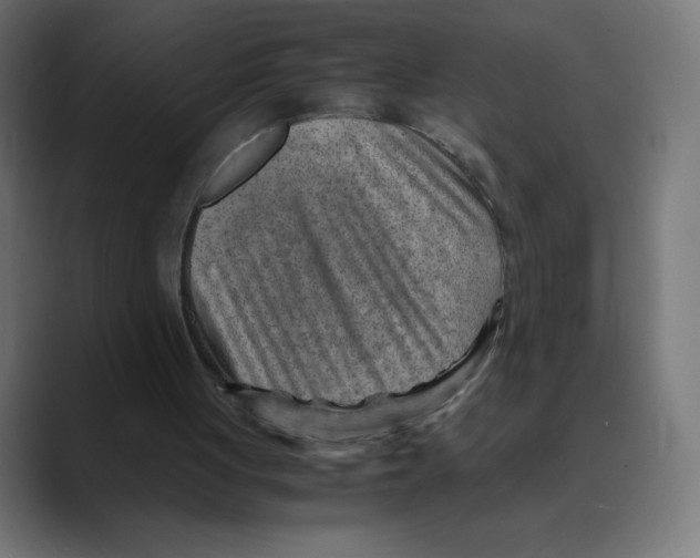 X0000088440051200706191300