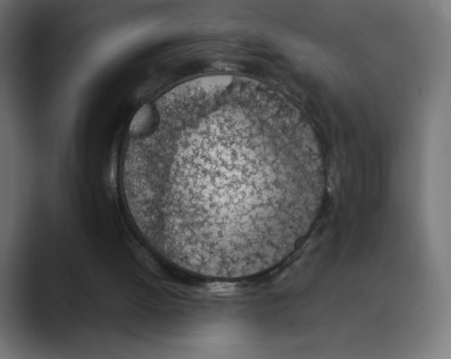 X0000088440052200706191300