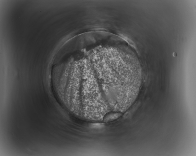 X0000088440053200706191300