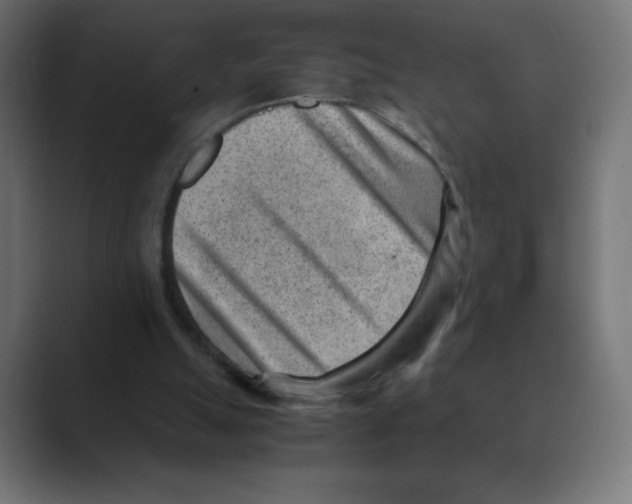 X0000088440055200706191300