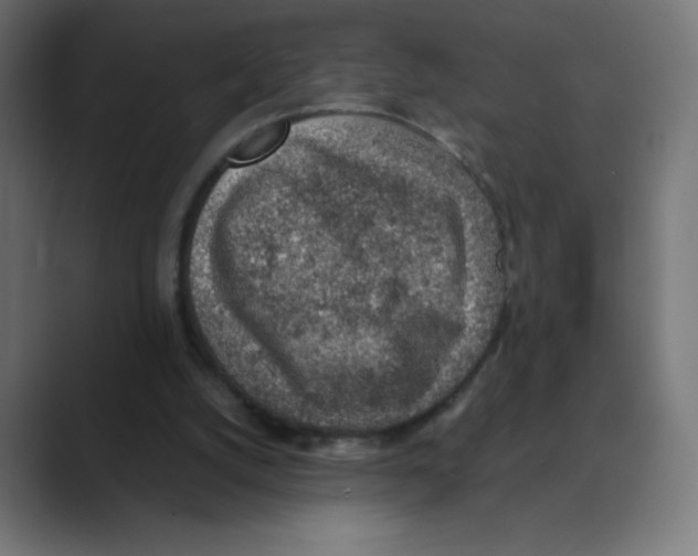 X0000088440056200706191300