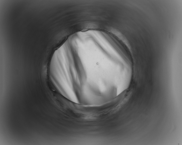 X0000088440057200706191300
