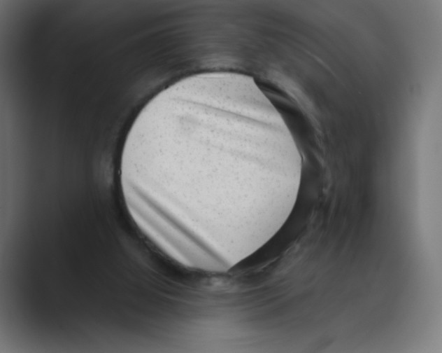 X0000088440060200706191300