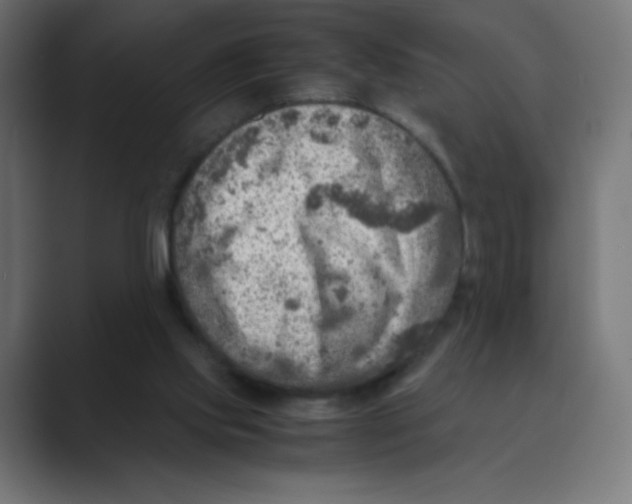 X0000088440061200706191300