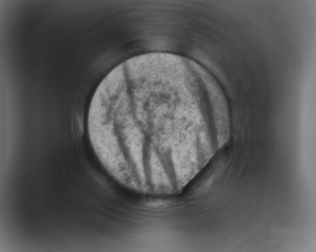 X0000088440062200706191300