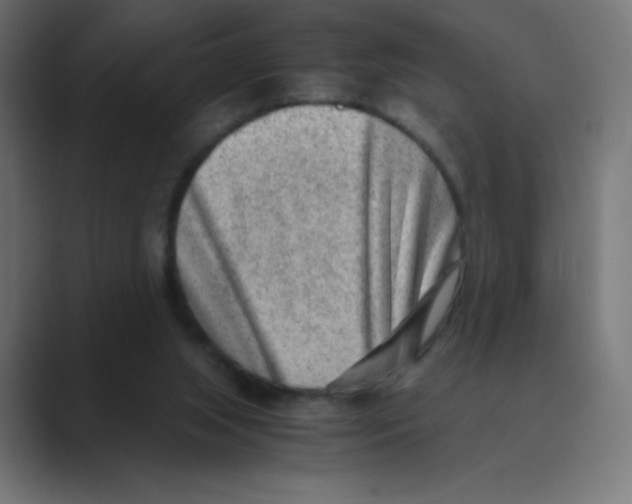 X0000088440063200706191300