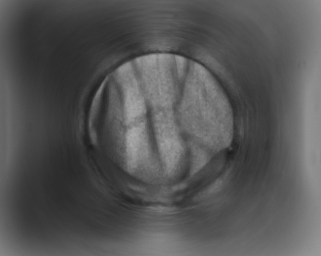 X0000088440064200706191300