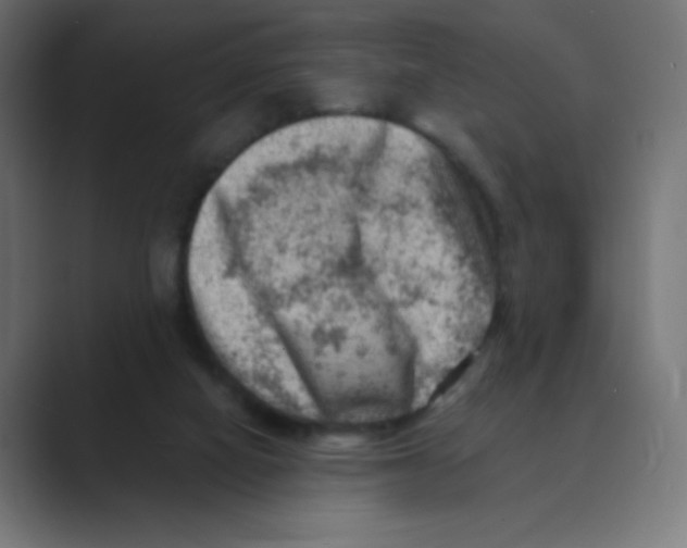 X0000088440066200706191300