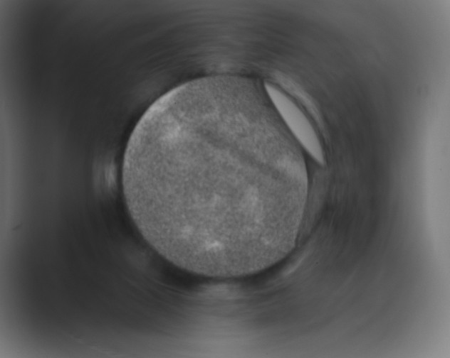 X0000088440067200706191300