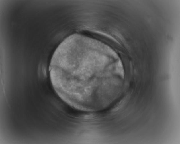 X0000088440068200706191300