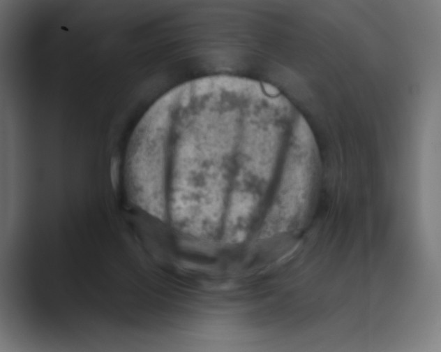 X0000088440070200706191300