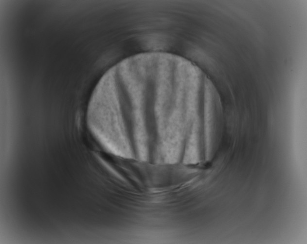 X0000088440071200706191300