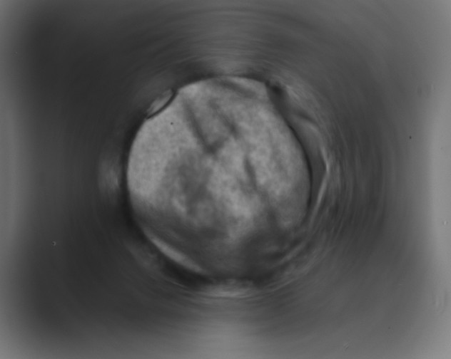 X0000088440072200706191300