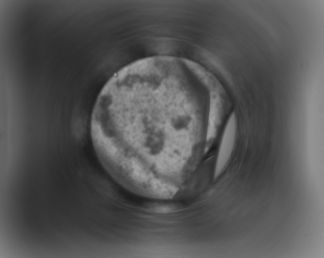 X0000088440073200706191300