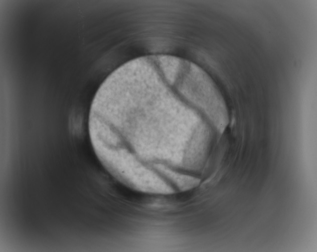 X0000088440074200706191300