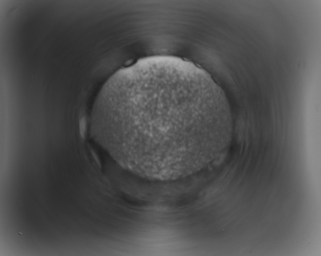 X0000088440076200706191300