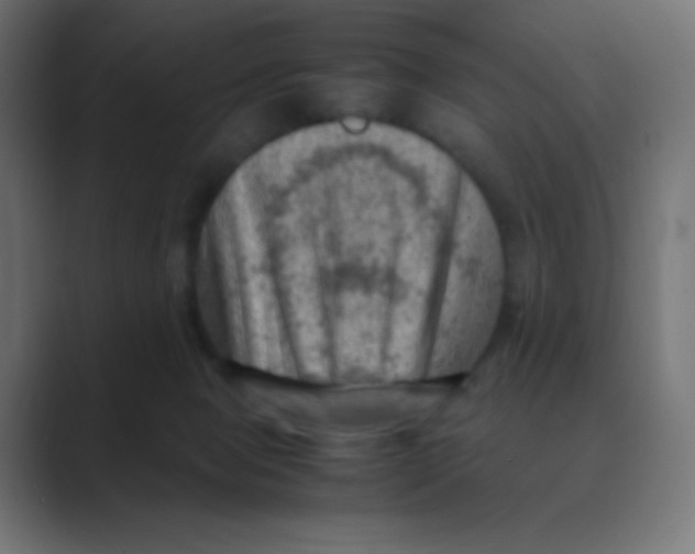 X0000088440077200706191300