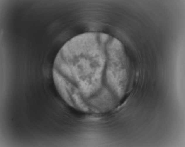 X0000088440078200706191300