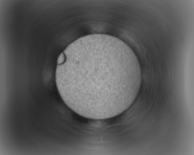 X0000088440079200706191300