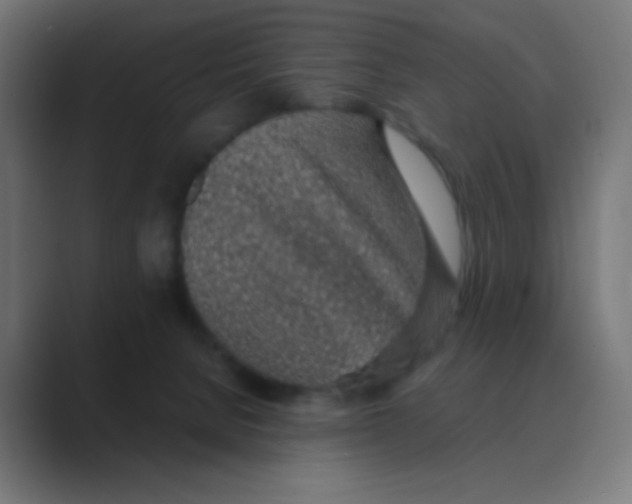 X0000088440080200706191300