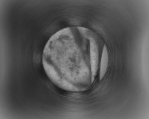 X0000088440081200706191300