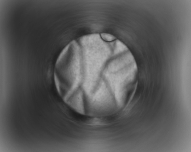 X0000088440082200706191300
