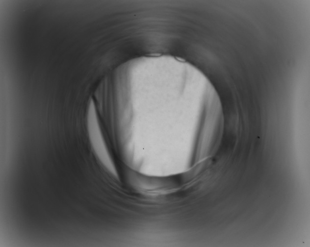 X0000088440084200706191300