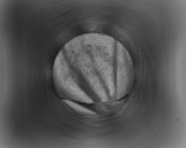X0000088440085200706191300