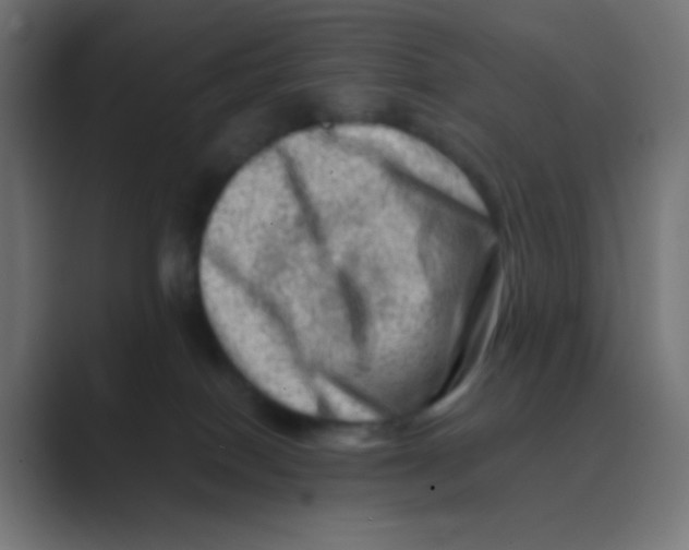 X0000088440086200706191300
