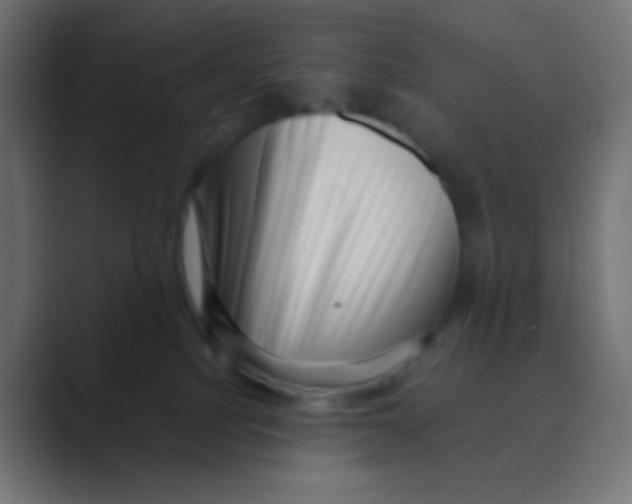 X0000088440088200706191300