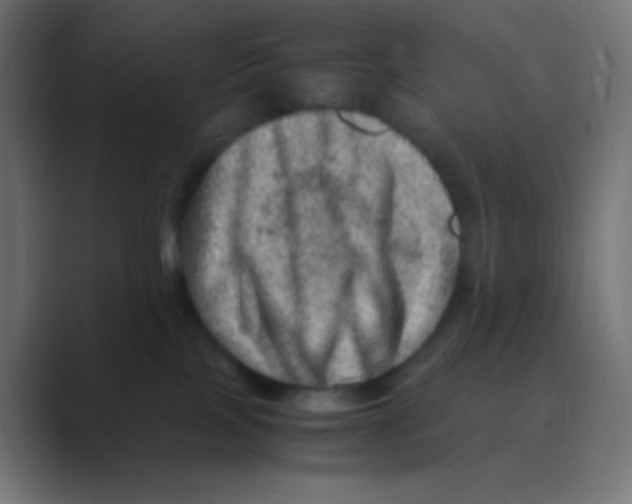 X0000088440089200706191300