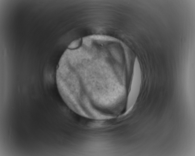 X0000088440090200706191300