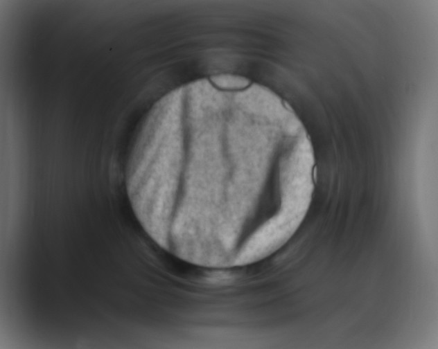 X0000088440091200706191300