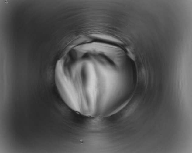 X0000088440092200706191300