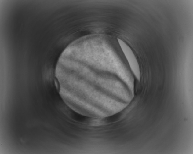 X0000088440093200706191301