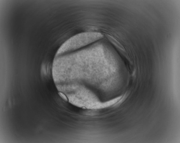 X0000088440094200706191301