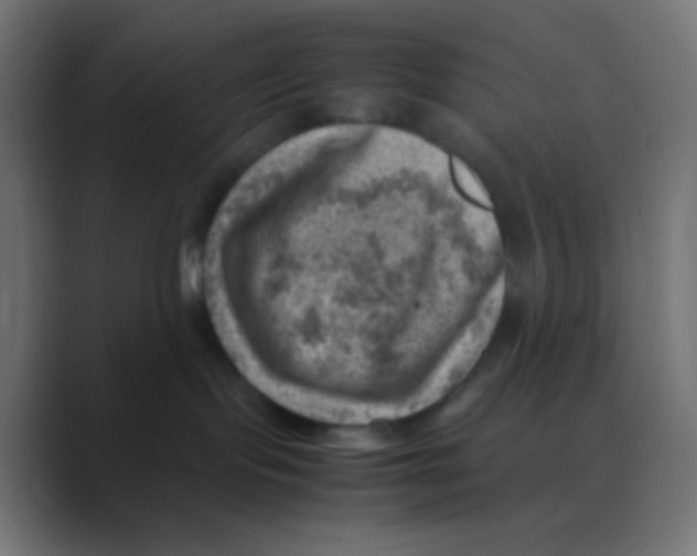 X0000088440095200706191301