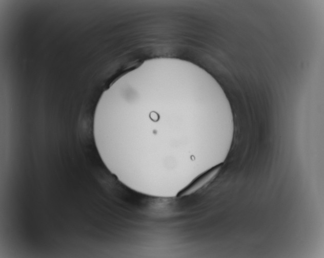 X0000088440096200706191301