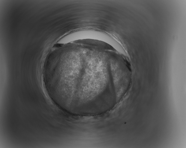 X0000088440097200706191300
