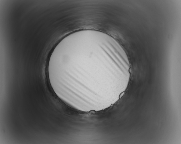 X0000088440098200706191300
