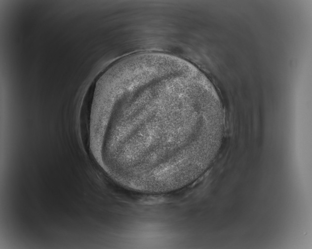 X0000088440099200706191300