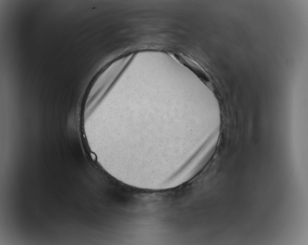 X0000088440100200706191300